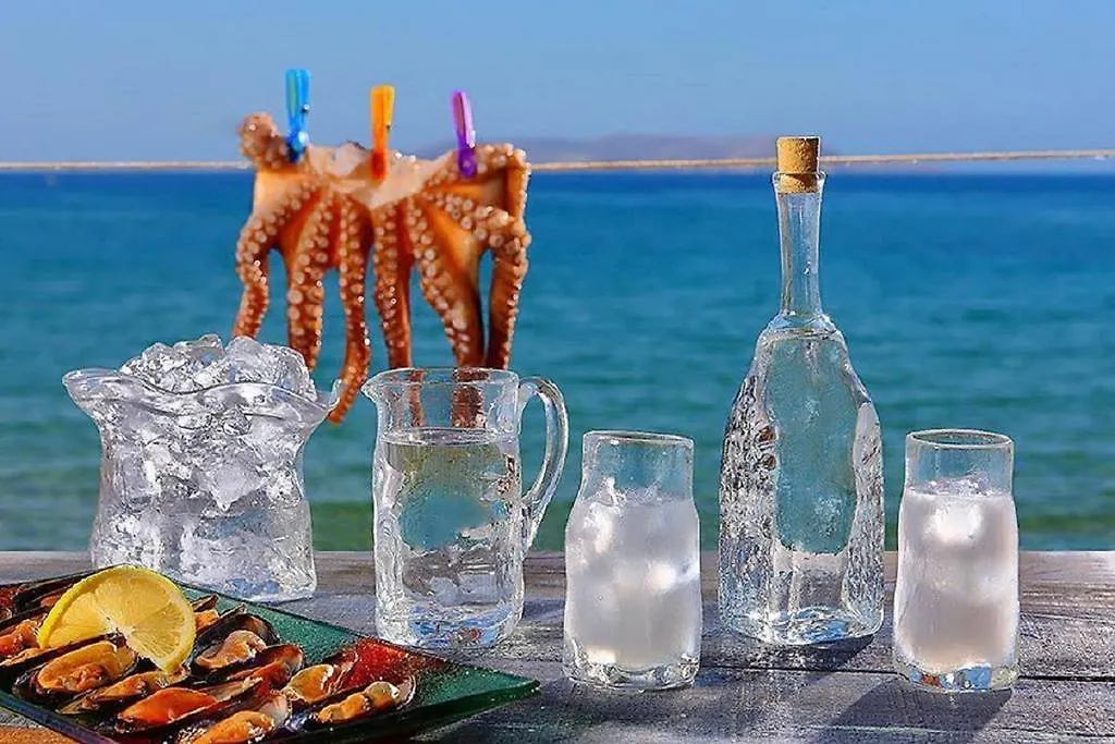 Aigialis Apartments & Studios Kokkini Khanion Kokkini Hani
